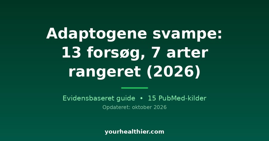 Adaptogene svampe: 13 forsøg, 7 arter rangeret (2026)