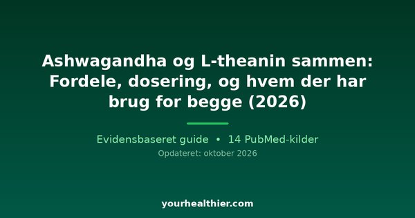 Ashwagandha og L-theanin sammen: Fordele, dosering, og hvem der har brug for begge (2026)
