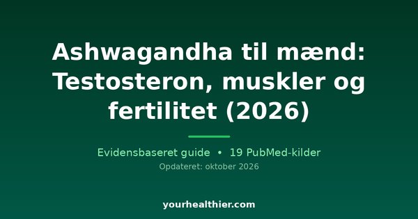 Ashwagandha til mænd: Testosteron, muskler og fertilitet (2026)
