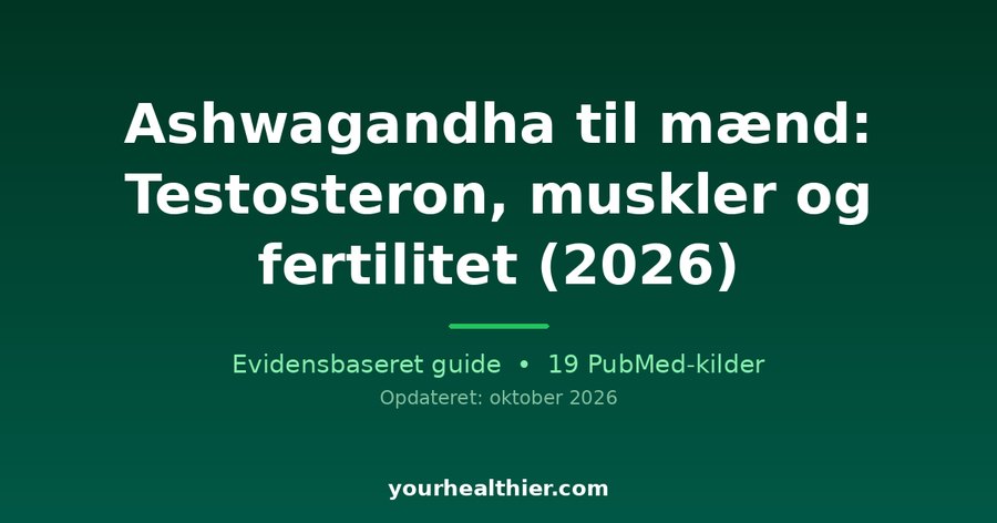 Ashwagandha til mænd: Testosteron, muskler og fertilitet (2026)