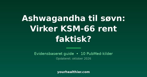 Ashwagandha til søvn: Virker KSM-66 rent faktisk?