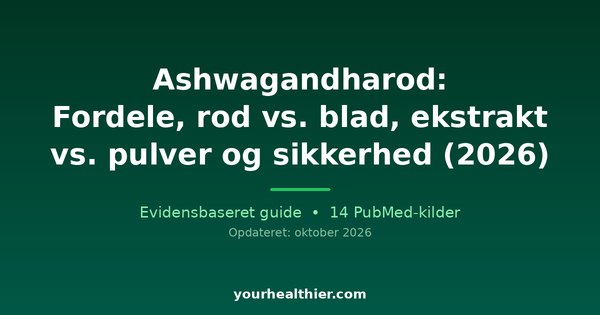 Ashwagandharod: Fordele, rod vs. blad, ekstrakt vs. pulver og sikkerhed (2026)