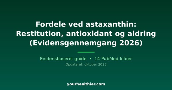 Fordele ved astaxanthin: Restitution, antioxidant og aldring (Evidensgennemgang 2026)