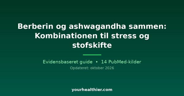 Berberin og ashwagandha sammen: Kombinationen til stress og stofskifte