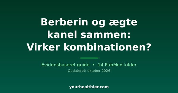 Berberin og ægte kanel sammen: Virker kombinationen?