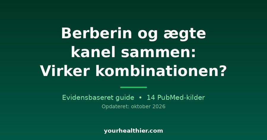 Berberin og ægte kanel sammen: Virker kombinationen?