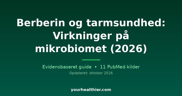 Berberin og tarmsundhed: Virkninger på mikrobiomet (2026)