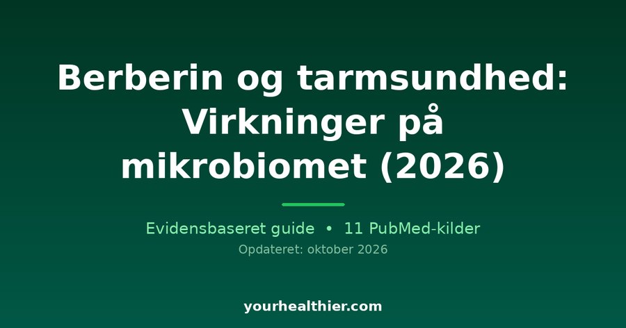 Berberin og tarmsundhed: Virkninger på mikrobiomet (2026)