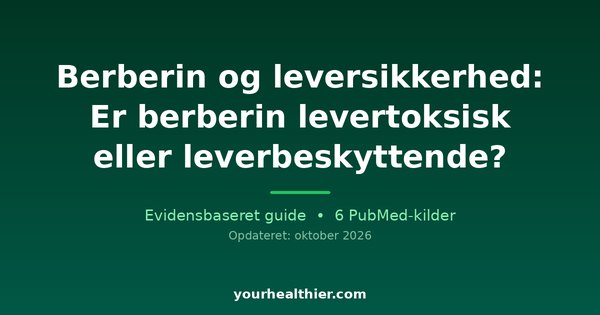 Berberin og leversikkerhed: Er berberin levertoksisk eller leverbeskyttende?