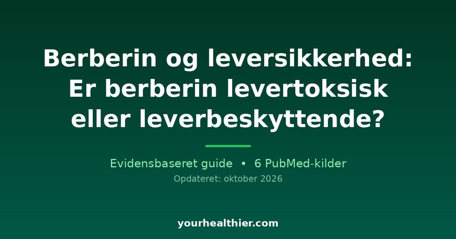 Berberin og leversikkerhed: Er berberin levertoksisk eller leverbeskyttende?