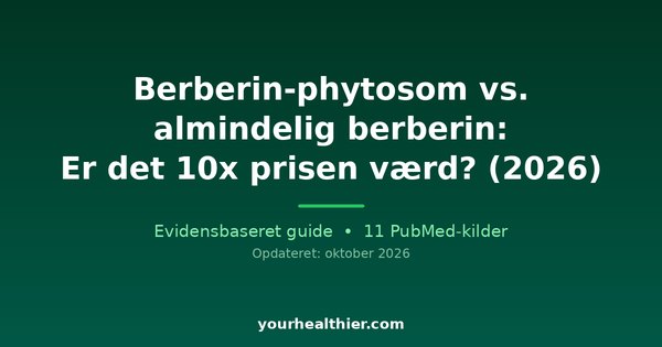 Berberin-phytosom vs. almindelig berberin: Er det 10x prisen værd? (2026)