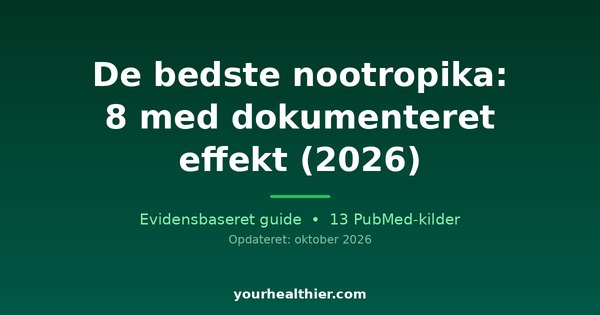 De bedste nootropika: 8 med dokumenteret effekt (2026)