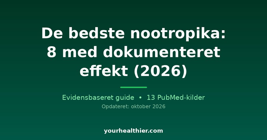 De bedste nootropika: 8 med dokumenteret effekt (2026)