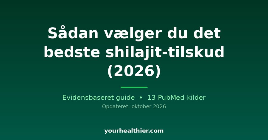 Sådan vælger du det bedste shilajit-tilskud (2026)