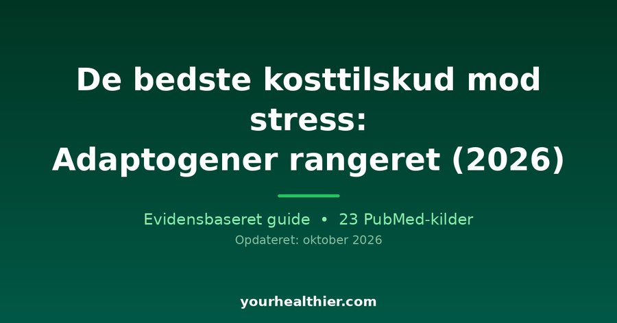 De bedste kosttilskud mod stress: Adaptogener rangeret (2026)