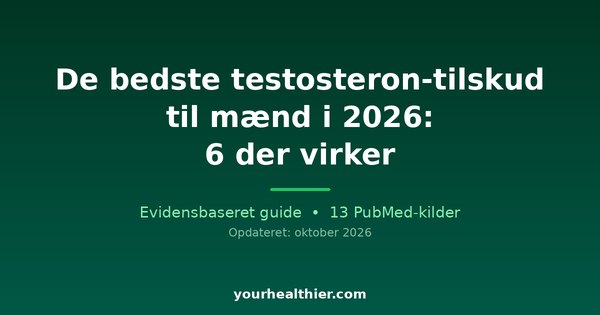 De bedste testosteron-tilskud til mænd i 2026: 6 der virker