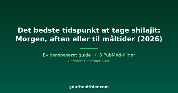 Det bedste tidspunkt at tage shilajit: Morgen, aften eller til måltider (2026)