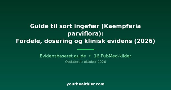Guide til sort ingefær (Kaempferia parviflora): Fordele, dosering og klinisk evidens (2026)