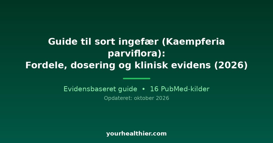Guide til sort ingefær (Kaempferia parviflora): Fordele, dosering og klinisk evidens (2026)