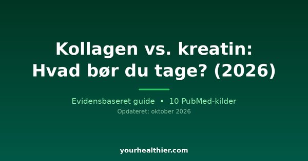 Kollagen vs. kreatin: Hvad bør du tage? (2026)
