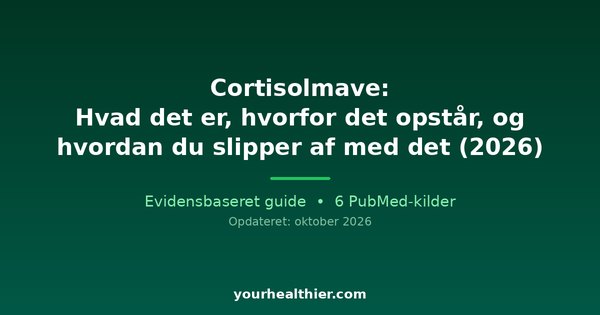 Cortisolmave: Hvad det er, hvorfor det opstår, og hvordan du slipper af med det (2026)