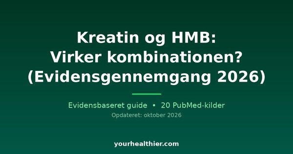 Kreatin og HMB: Virker kombinationen? (Evidensgennemgang 2026)