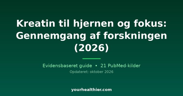 Kreatin til hjernen og fokus: Gennemgang af forskningen (2026)