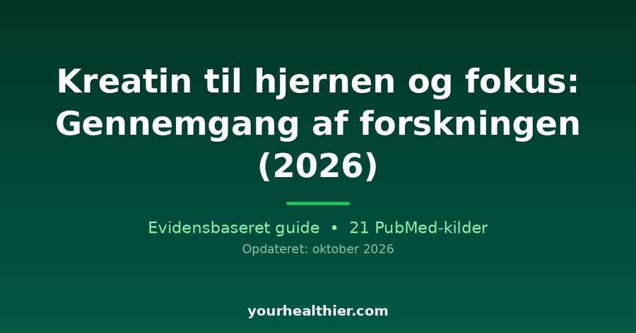 Kreatin til hjernen og fokus: Gennemgang af forskningen (2026)