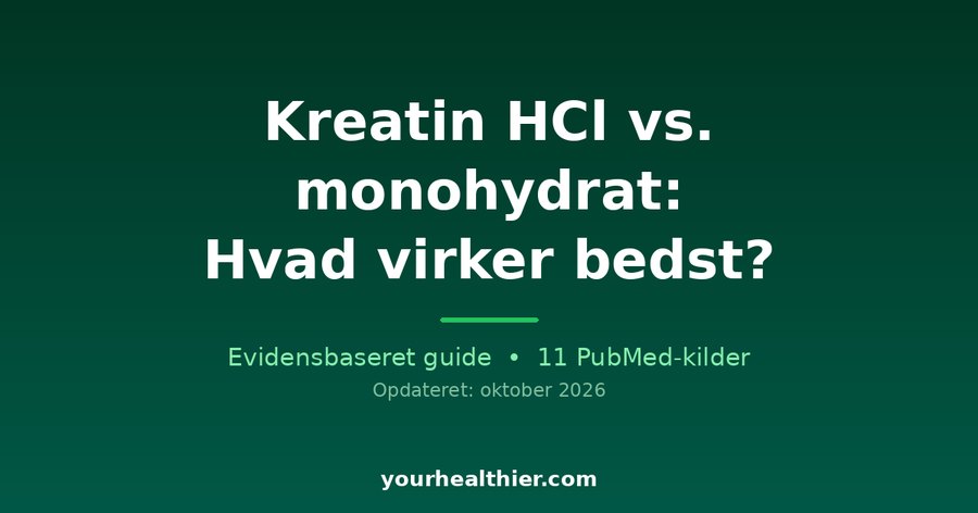 Kreatin HCl vs. monohydrat: Hvad virker bedst?