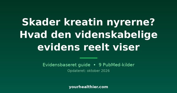 Skader kreatin nyrerne? Hvad den videnskabelige evidens reelt viser