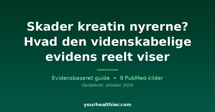 Skader kreatin nyrerne? Hvad den videnskabelige evidens reelt viser