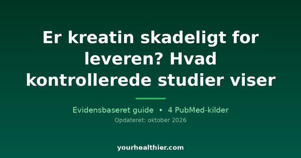 Er kreatin skadeligt for leveren? Hvad kontrollerede studier viser
