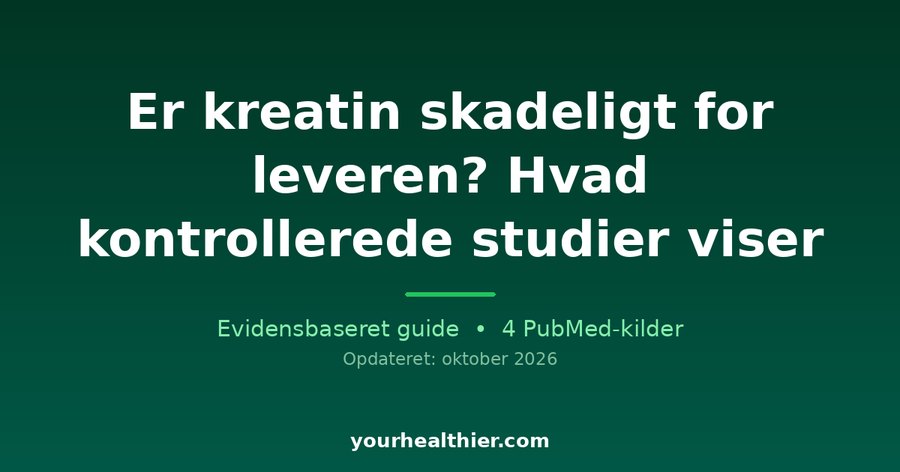 Er kreatin skadeligt for leveren? Hvad kontrollerede studier viser