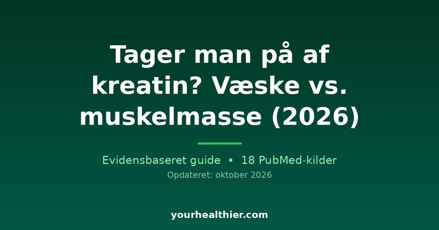 Tager man på af kreatin? Væske vs. muskelmasse (2026)