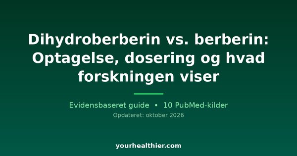 Dihydroberberin vs. berberin: Optagelse, dosering og hvad forskningen viser