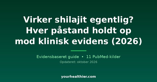 Virker shilajit egentlig? Hver påstand holdt op mod klinisk evidens (2026)