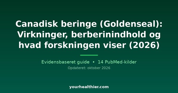 Canadisk beringe (Goldenseal): Virkninger, berberinindhold og hvad forskningen viser (2026)