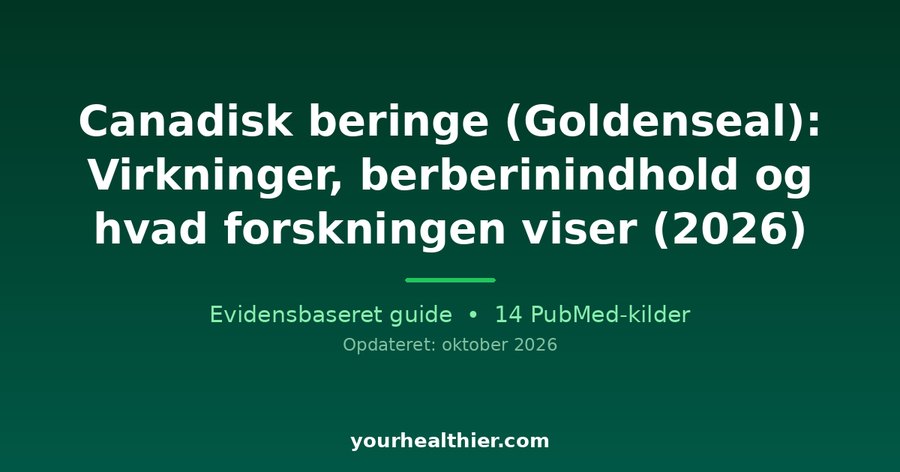 Canadisk beringe (Goldenseal): Virkninger, berberinindhold og hvad forskningen viser (2026)