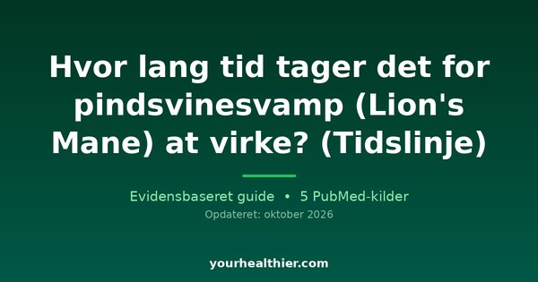 Hvor lang tid tager det for pindsvinesvamp (Lion’s Mane) at virke? (Tidslinje)