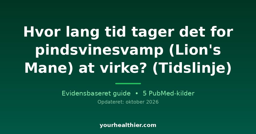 Hvor lang tid tager det for pindsvinesvamp (Lion’s Mane) at virke? (Tidslinje)