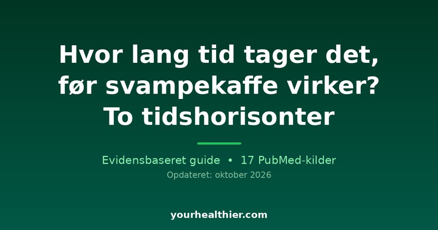 Hvor lang tid tager det, før svampekaffe virker? To tidshorisonter
