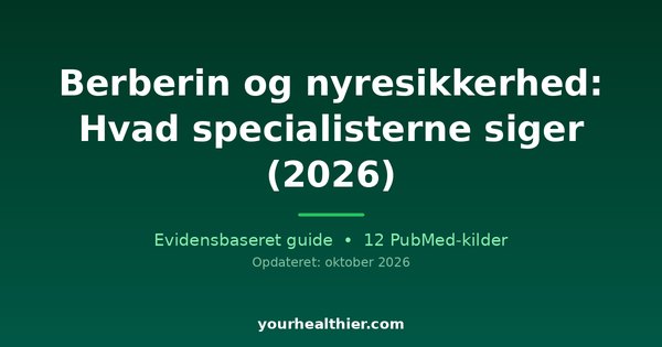 Berberin og nyresikkerhed: Hvad specialisterne siger (2026)