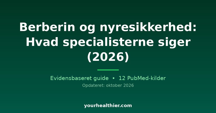 Berberin og nyresikkerhed: Hvad specialisterne siger (2026)