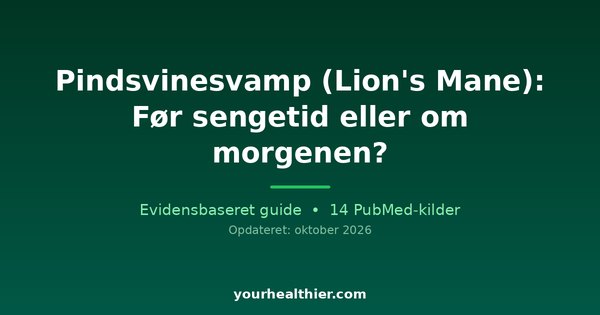 Pindsvinesvamp (Lion’s Mane): Før sengetid eller om morgenen?