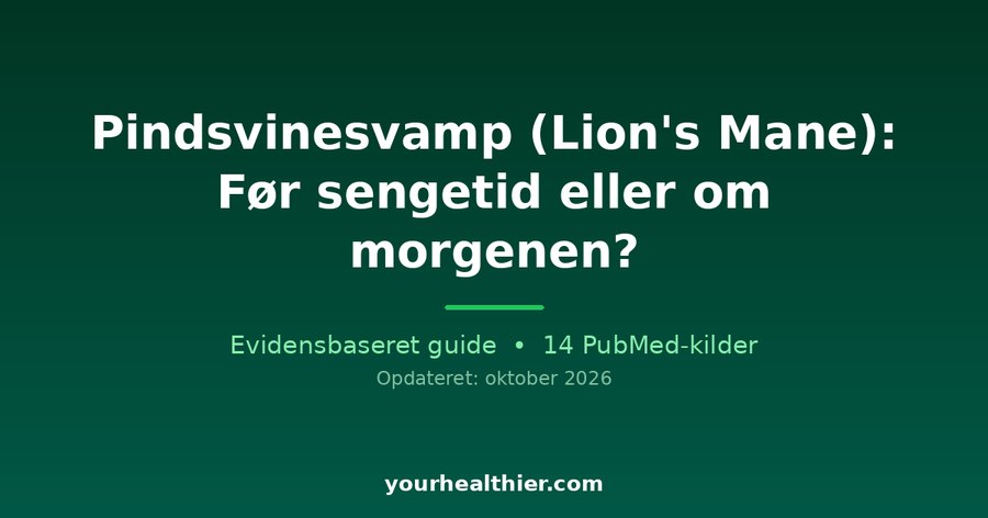 Pindsvinesvamp (Lion’s Mane): Før sengetid eller om morgenen?