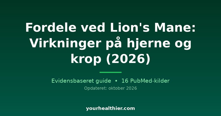 Fordele ved Lion’s Mane: Virkninger på hjerne og krop (2026)