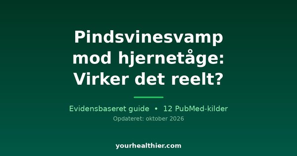Pindsvinesvamp mod hjernetåge: Virker det reelt?