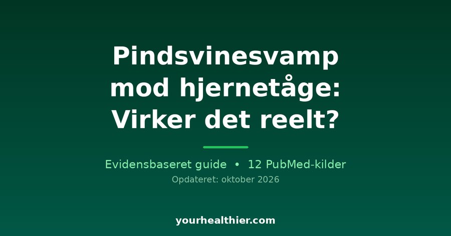 Pindsvinesvamp mod hjernetåge: Virker det reelt?