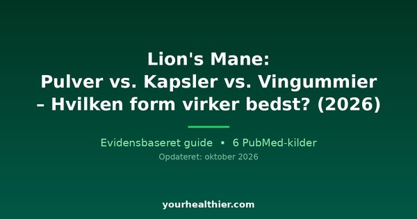 Lion’s Mane: Pulver vs. Kapsler vs. Vingummier – Hvilken form virker bedst? (2026)