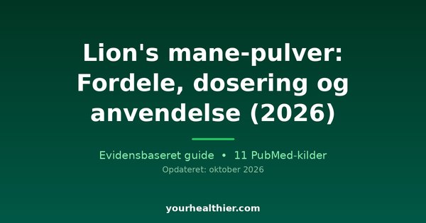 Lion’s mane-pulver: Fordele, dosering og anvendelse (2026)